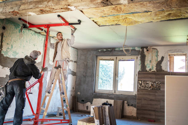 Best Eco-Friendly Insulation in Osakis, MN