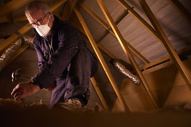 Best Blown-in Insulation in Osakis, MN